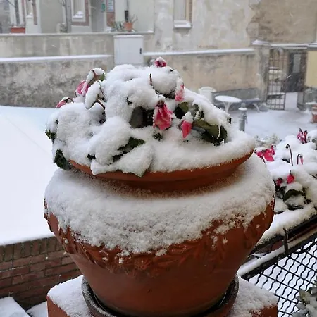 Le Logge Tatil Evi *